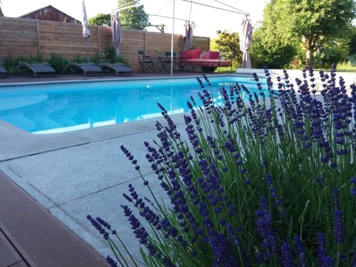 Chambres D Hotes ,Hotel ,Secret D'Une Nuit A Vicq Pres De Onnaing,Avec Piscine 外观 照片