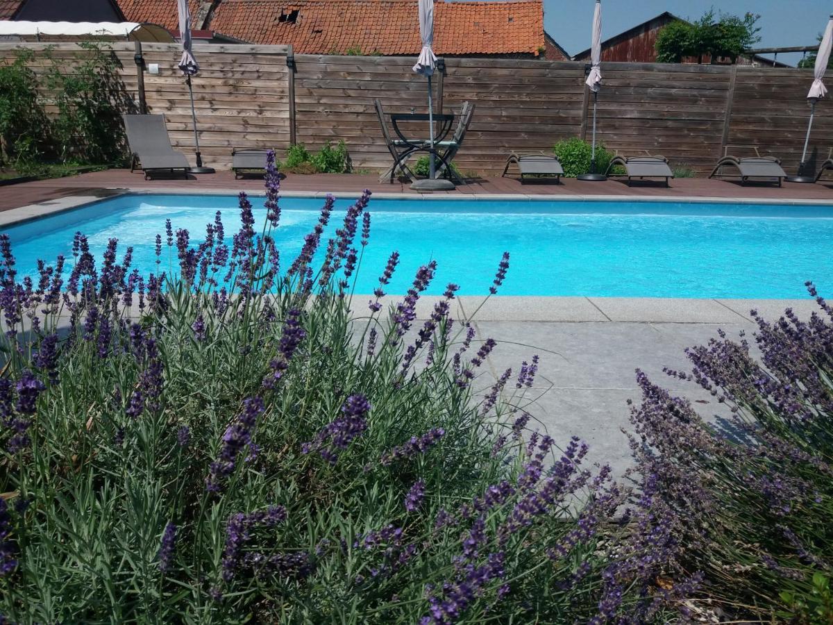 Chambres D Hotes ,Hotel ,Secret D'Une Nuit A Vicq Pres De Onnaing,Avec Piscine 外观 照片
